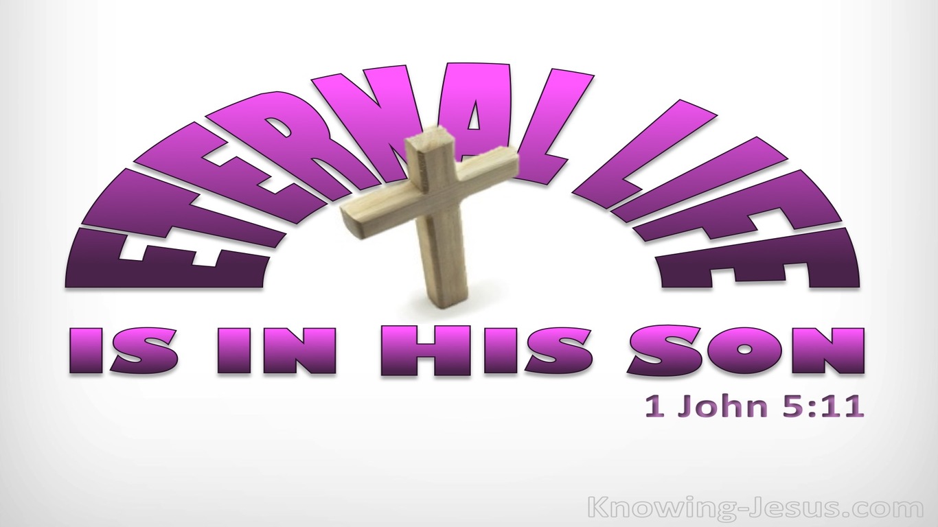 1 John 5:11 This Life Is In His Son (pink)
